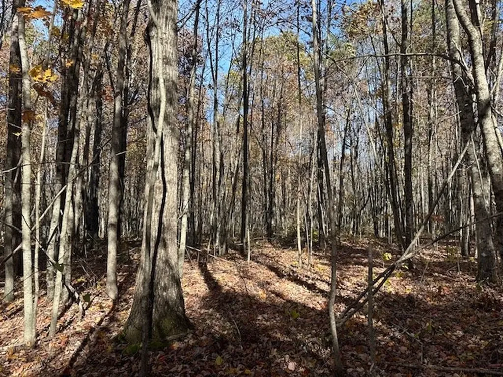 Lot 321 Hilltop Lane Wilder TN 38589
