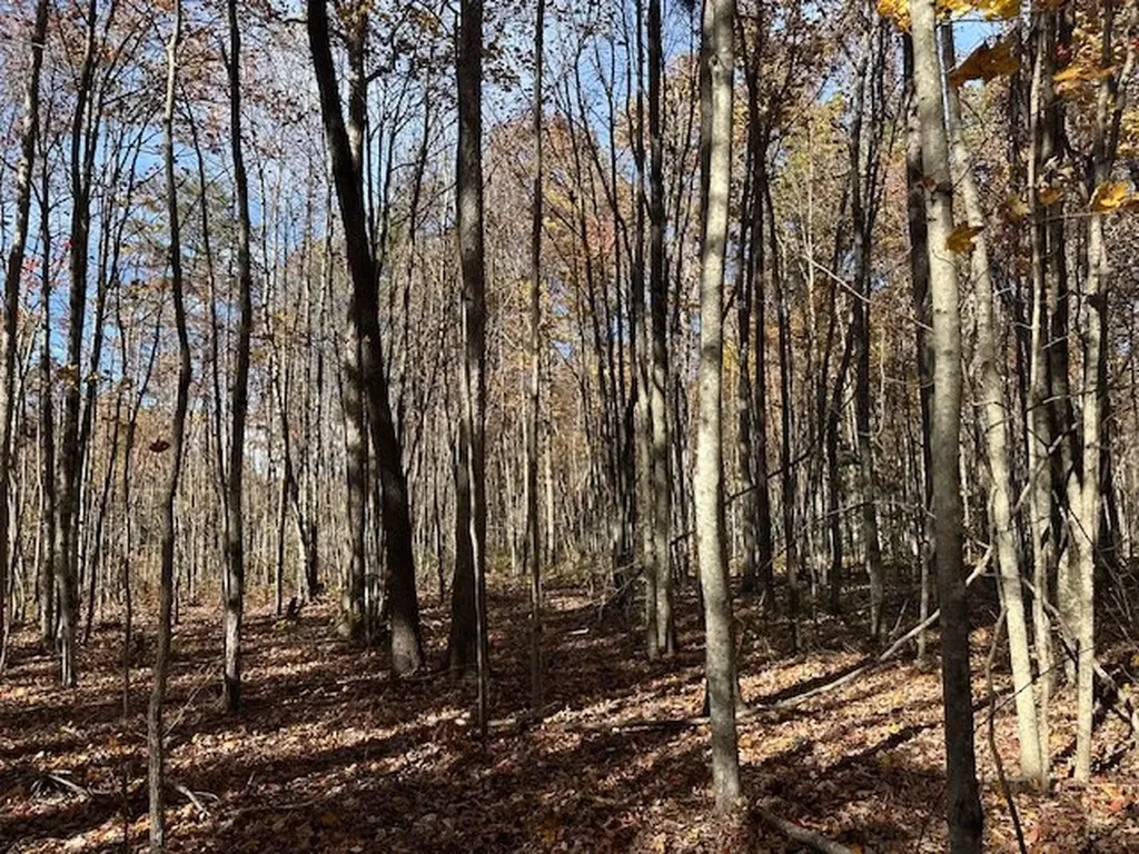 Lot 321 Hilltop Lane Wilder TN 38589
