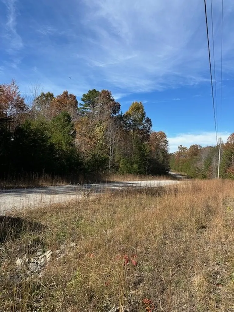 Lot 321 Hilltop Lane Wilder TN 38589