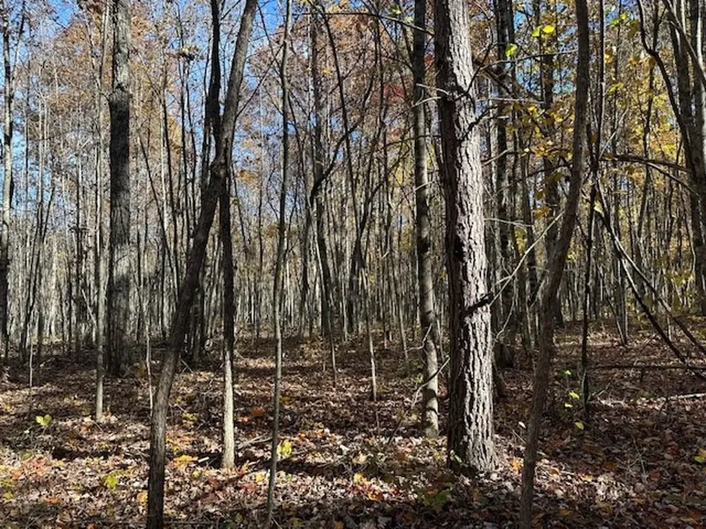 Lot 321 Hilltop Lane Wilder TN 38589