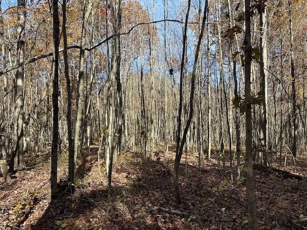 Lot 321 Hilltop Lane Wilder TN 38589