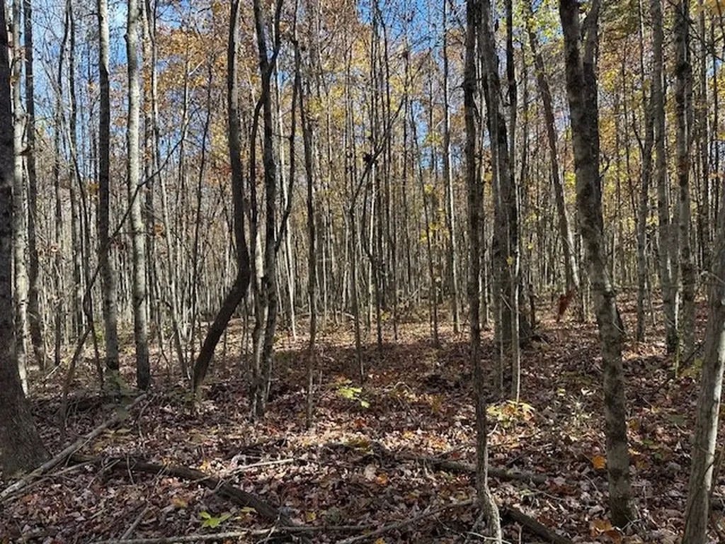 Lot 321 Hilltop Lane Wilder TN 38589