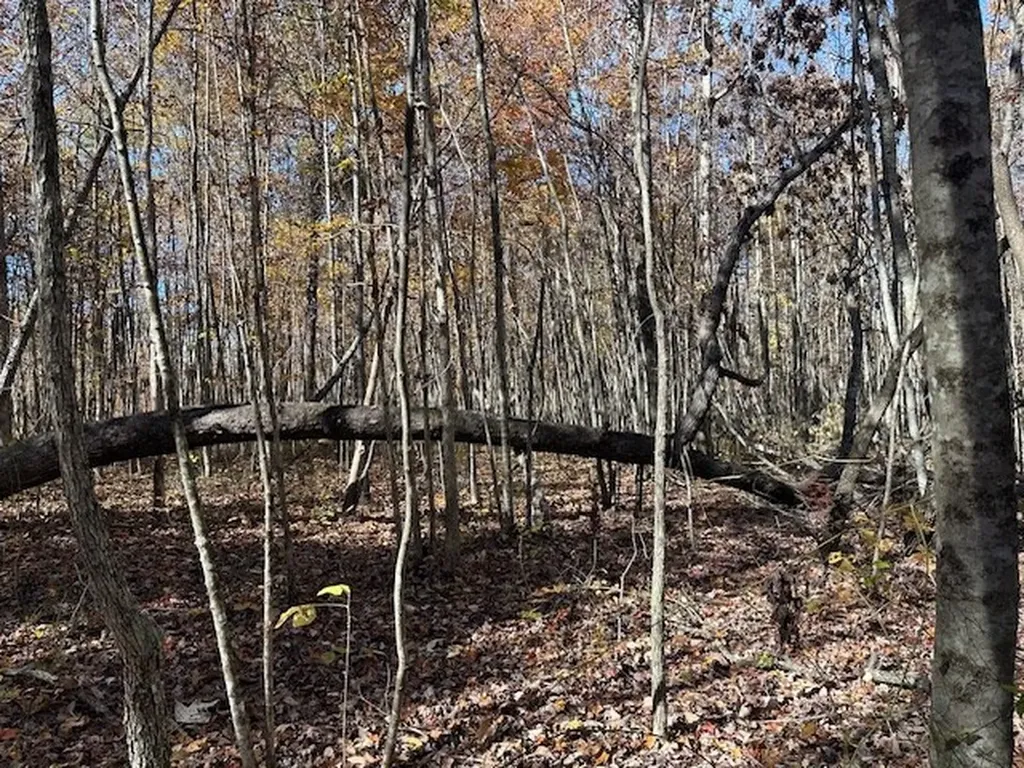 Lot 321 Hilltop Lane Wilder TN 38589