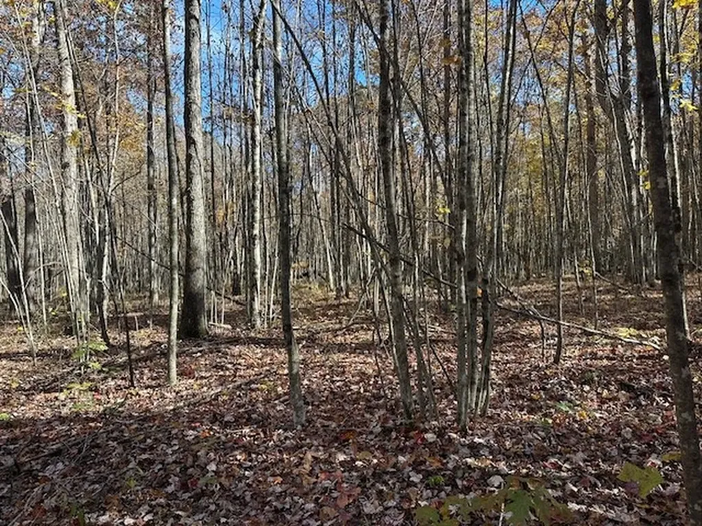 Lot 321 Hilltop Lane Wilder TN 38589