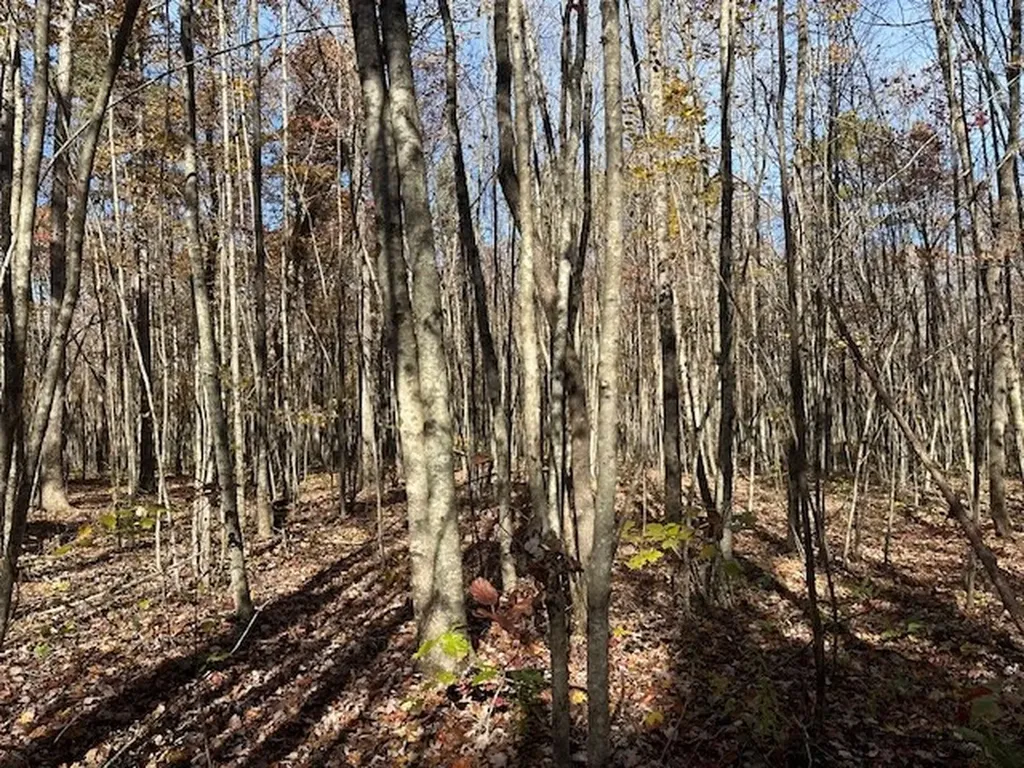Lot 321 Hilltop Lane Wilder TN 38589