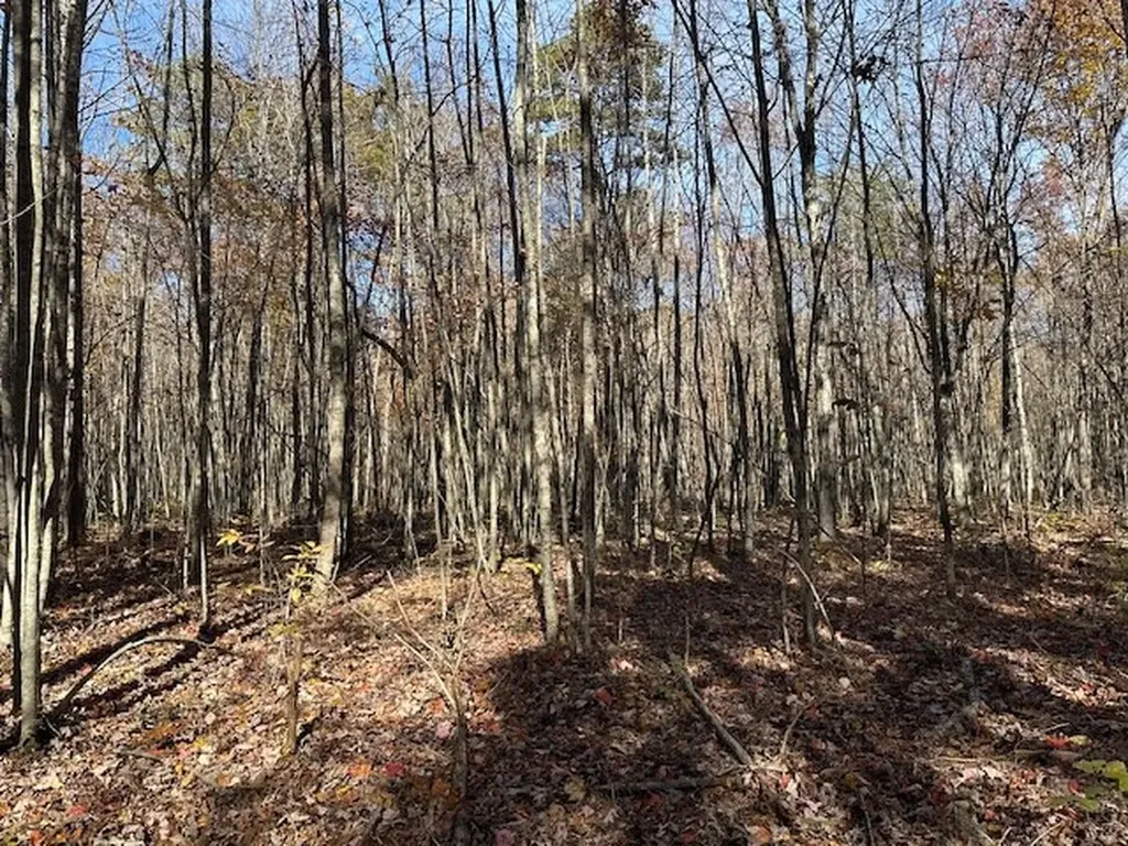 Lot 321 Hilltop Lane Wilder TN 38589