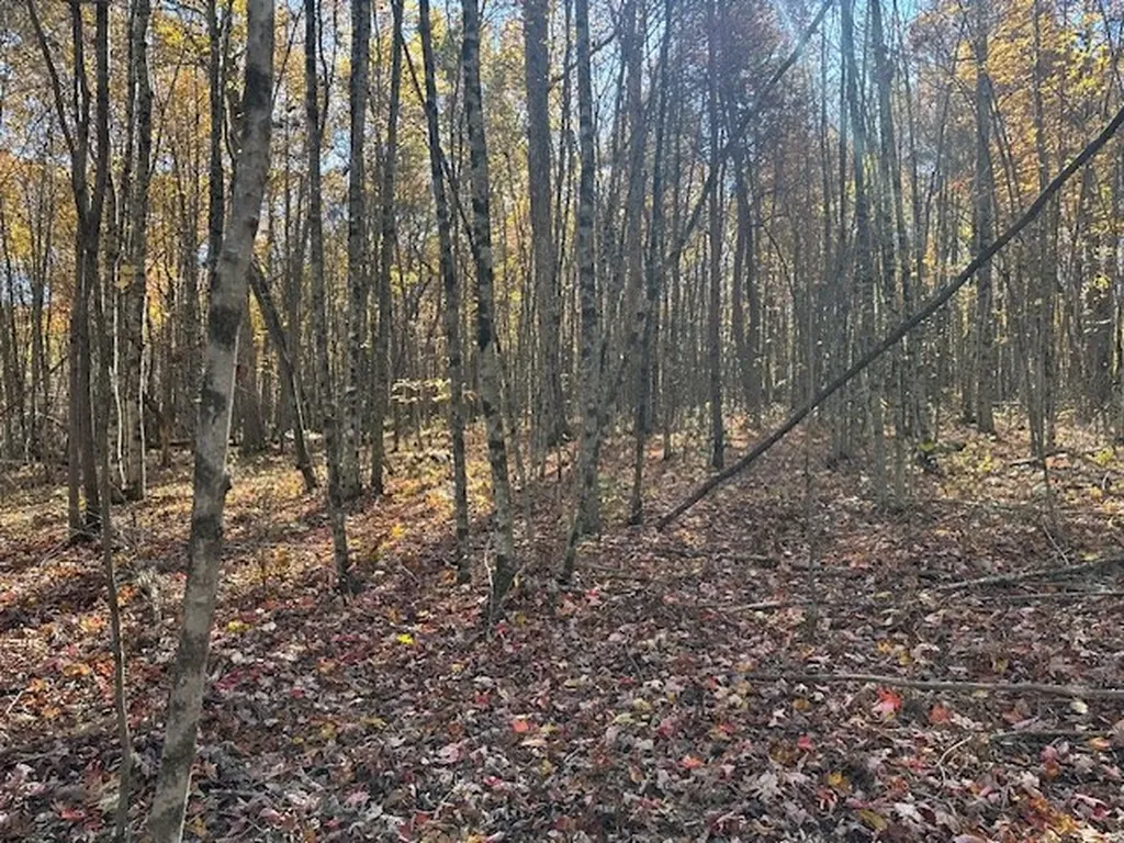 Lot 321 Hilltop Lane Wilder TN 38589