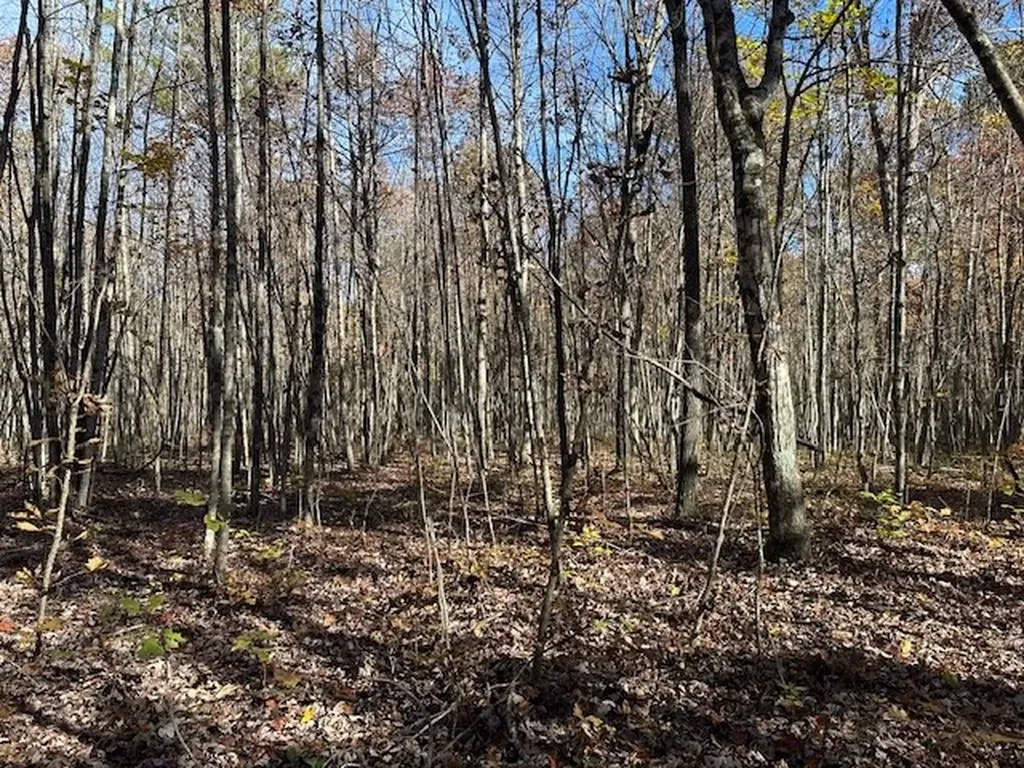 Lot 321 Hilltop Lane Wilder TN 38589