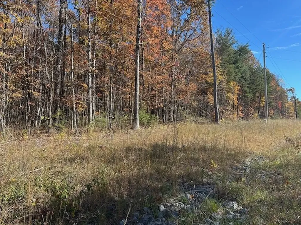 Lot 321 Hilltop Lane Wilder TN 38589
