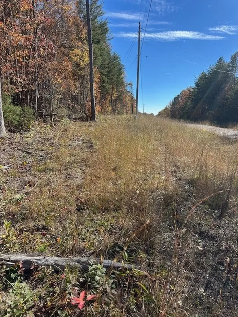Lot 321 Hilltop Lane Wilder TN 38589