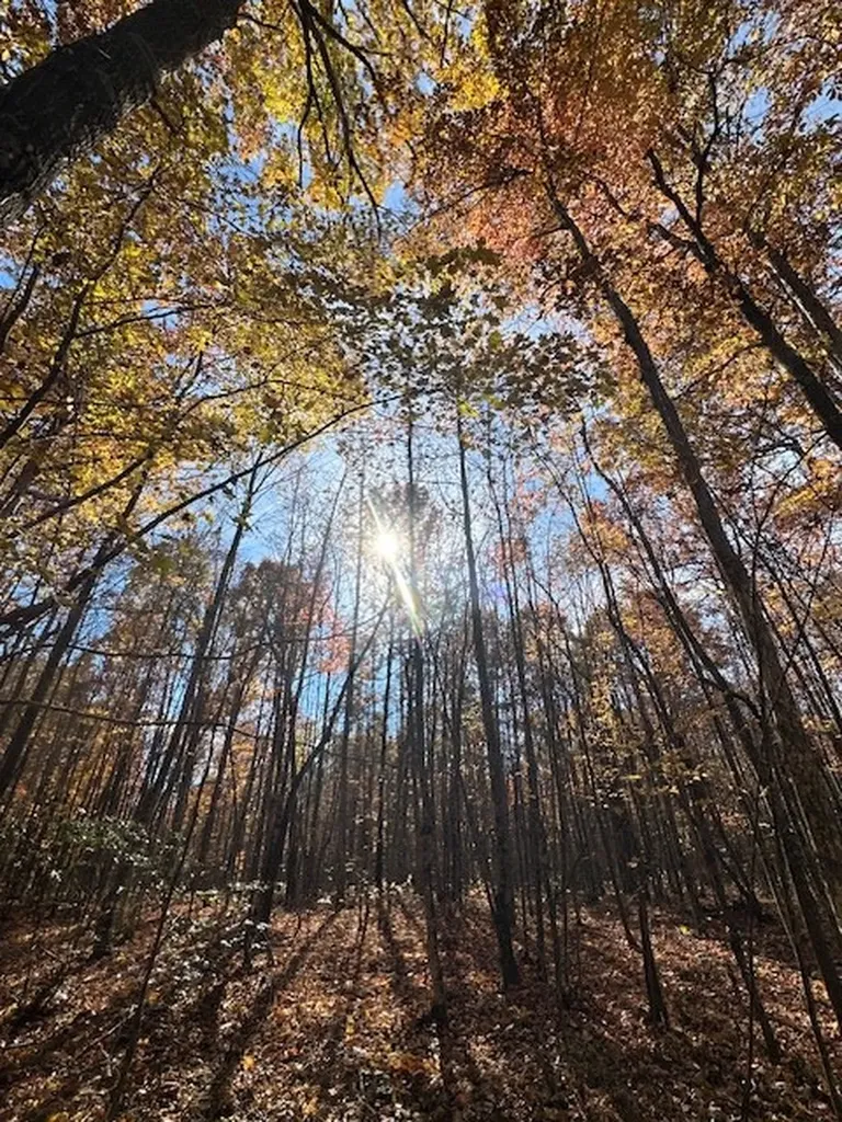 Lot 321 Hilltop Lane Wilder TN 38589