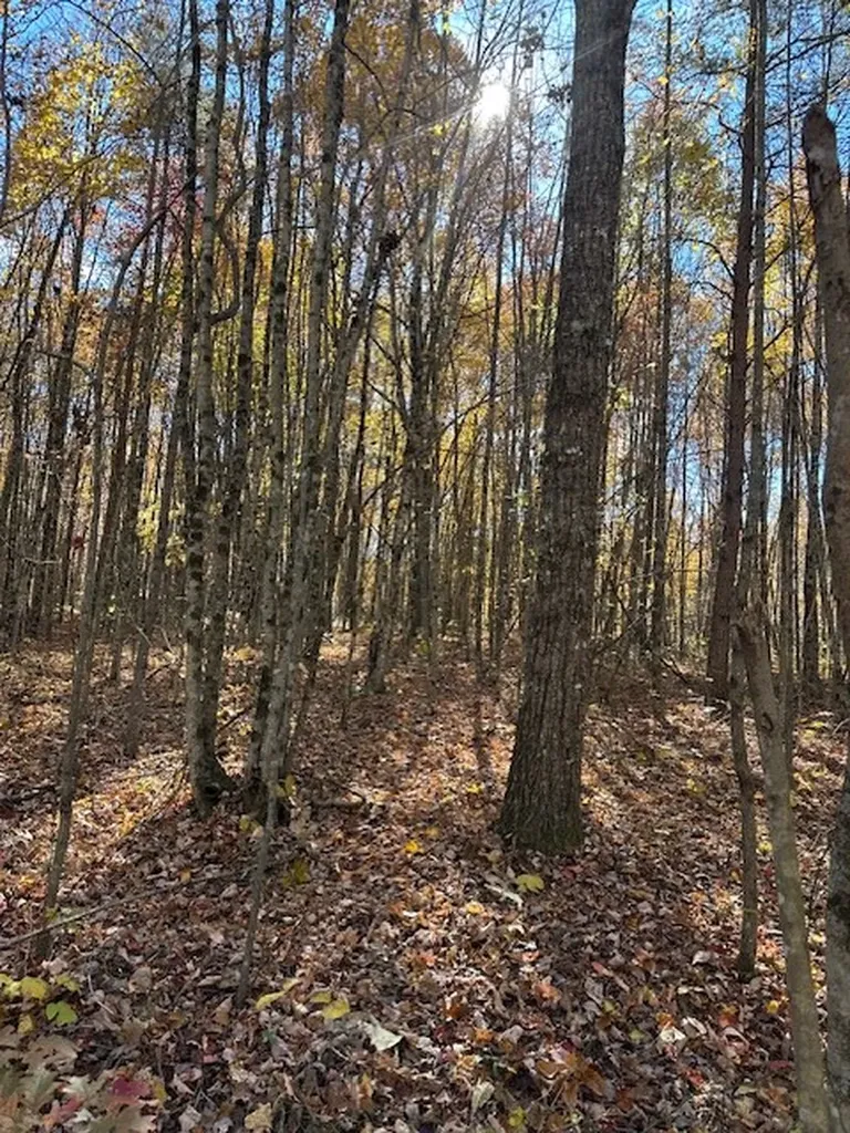 Lot 321 Hilltop Lane Wilder TN 38589
