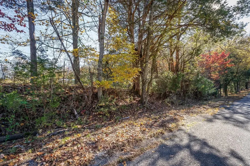 Lot 5 Franks Ferry Road Sparta TN 38583