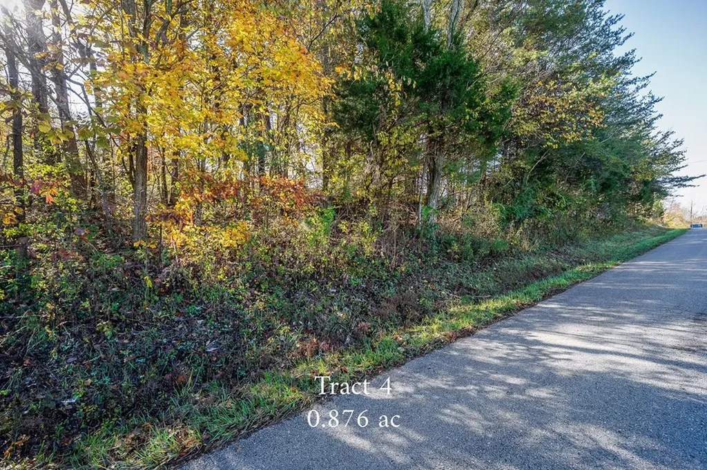 Lot 5 Franks Ferry Road Sparta TN 38583