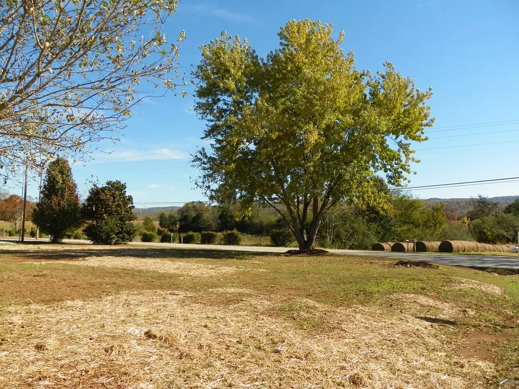 120 Tristen Lane Sparta TN 38583