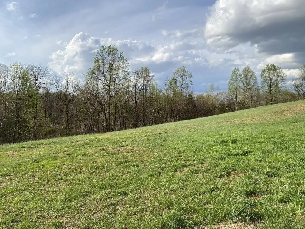 0 Carthage Road Lot 1 Pleasant Shade TN 37145