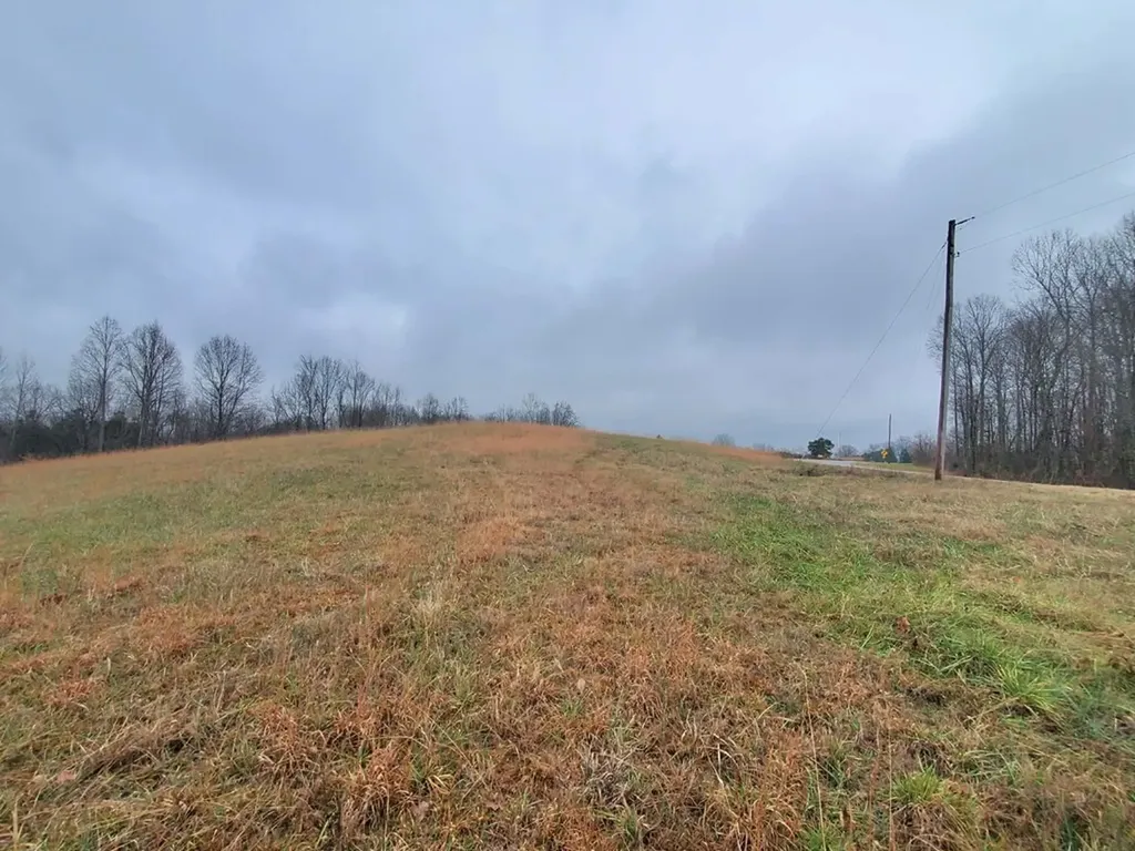 0 Carthage Road Lot 1 Pleasant Shade TN 37145