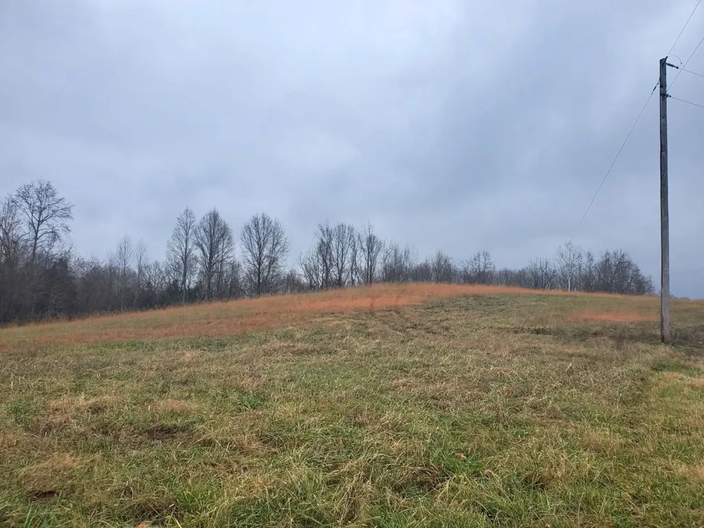 0 Carthage Road Lot 1 Pleasant Shade TN 37145