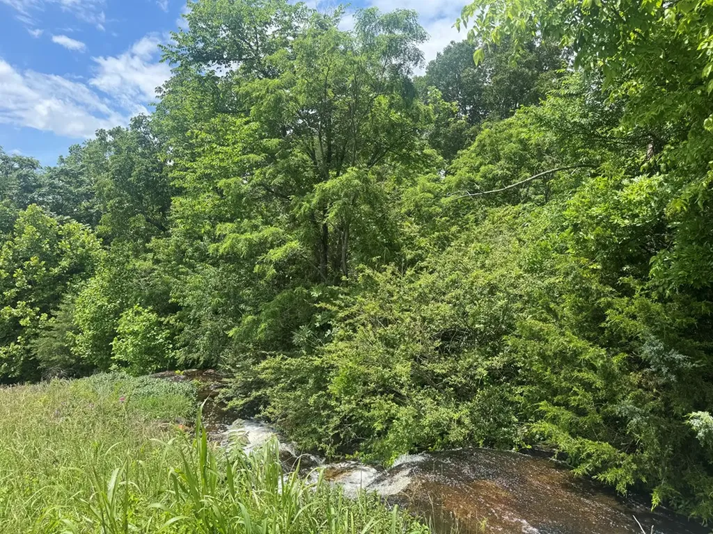 0 Vandy Circle Sparta TN 38583
