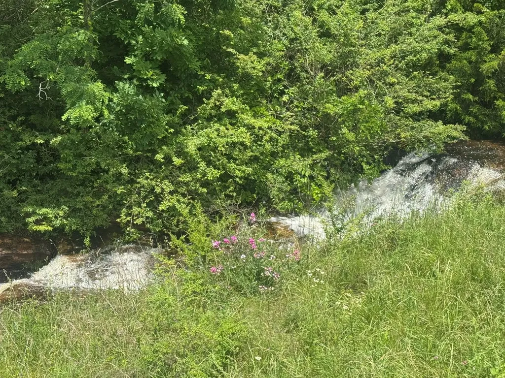 0 Vandy Circle Sparta TN 38583
