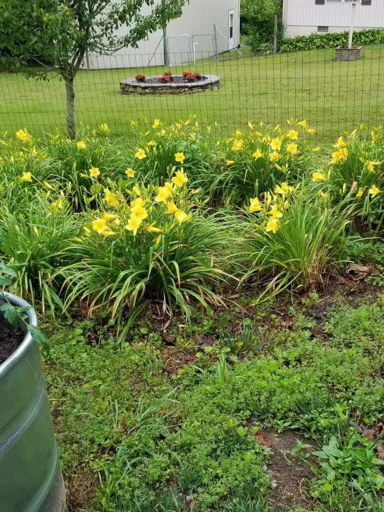1044 Ackia Drive Crossville TN 38572