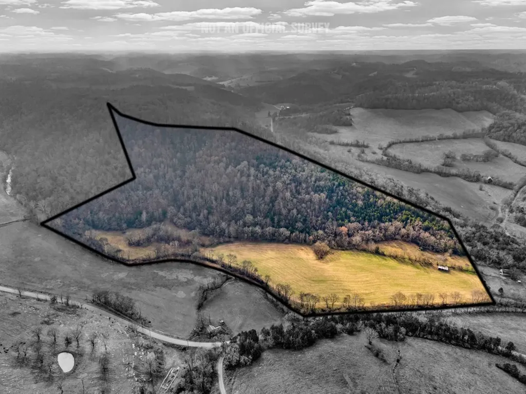 00 E Of Dry Fork Road Granville TN 38564