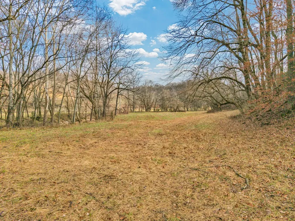 00 E Of Dry Fork Road Granville TN 38564