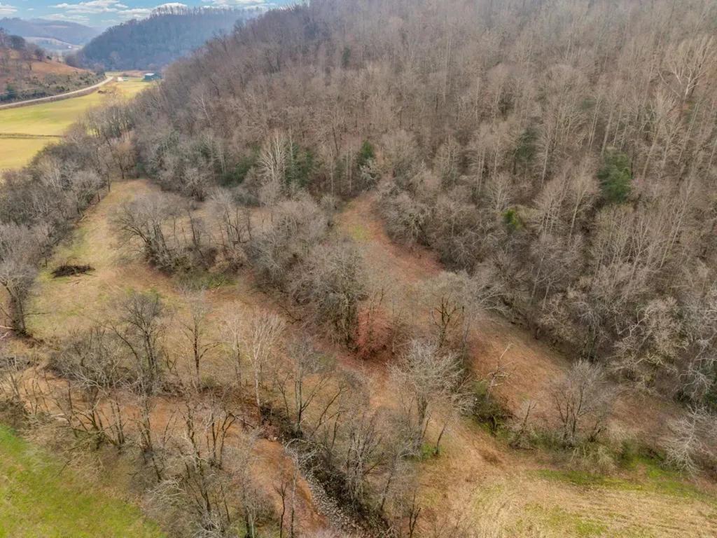 00 E Of Dry Fork Road Granville TN 38564