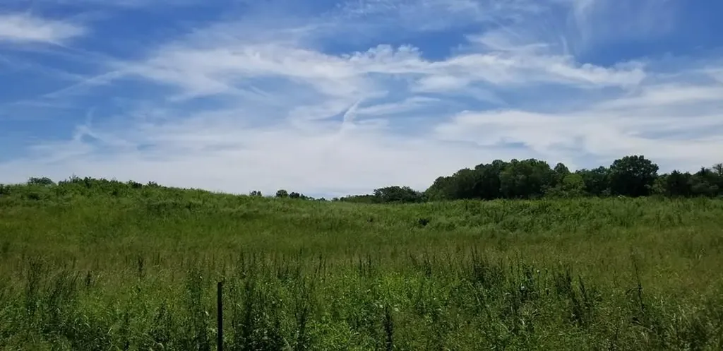 5 Ac Old Cookeville Road Sparta TN 38583