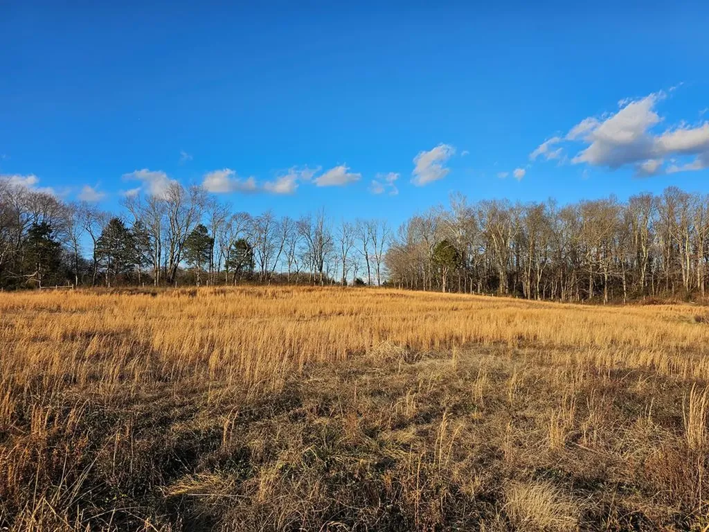 5 Ac Old Cookeville Road Sparta TN 38583