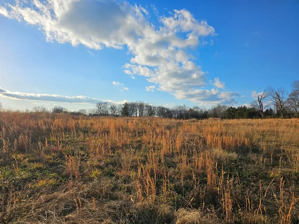 5 Ac Old Cookeville Road Sparta TN 38583