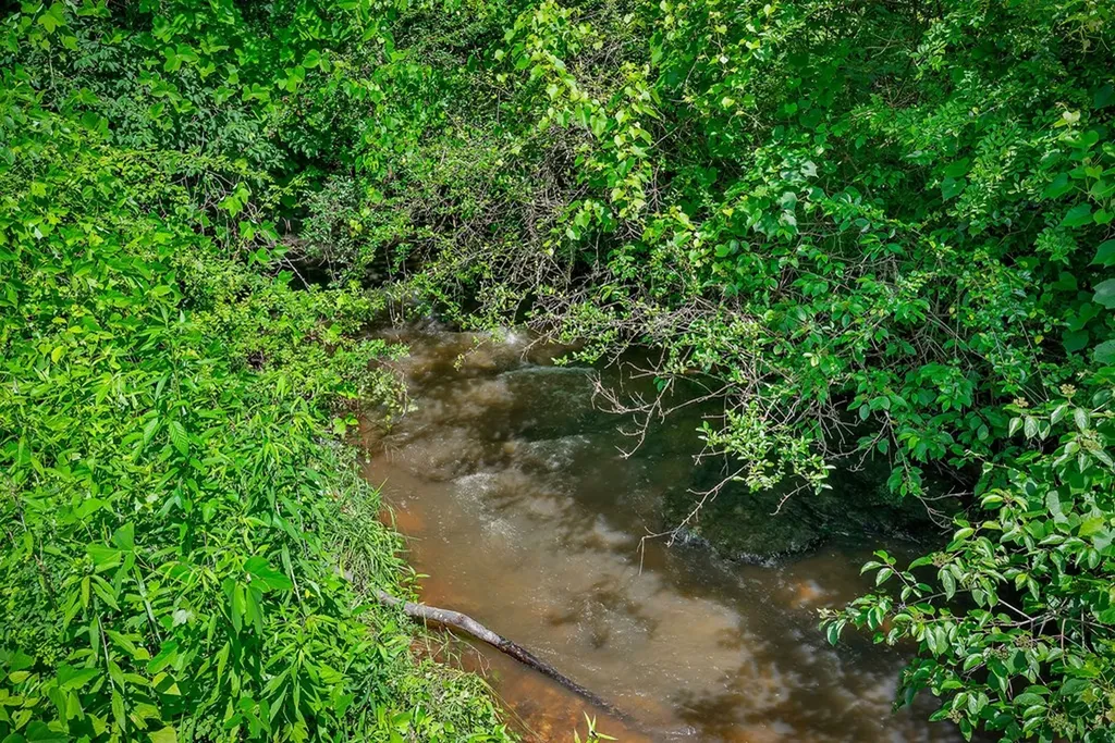 1790 Coon Hunt Road Baxter TN 38544-5103