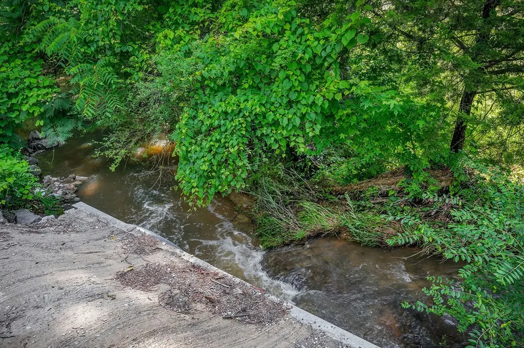 1790 Coon Hunt Road Baxter TN 38544-5103