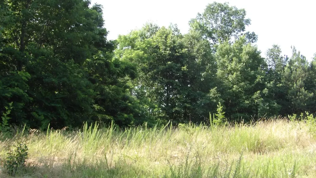 13.87AC Pleasant Cemetery Lane Gainesboro TN 38562