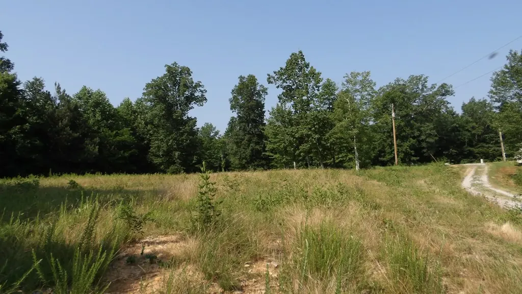 13.87AC Pleasant Cemetery Lane Gainesboro TN 38562