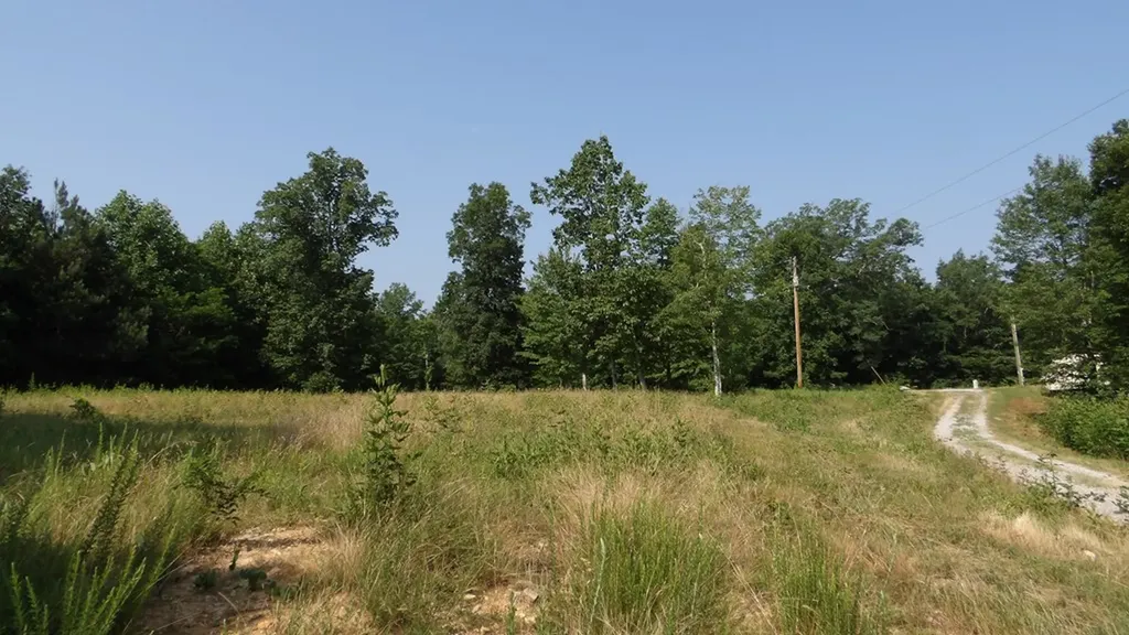 13.87AC Pleasant Cemetery Lane Gainesboro TN 38562