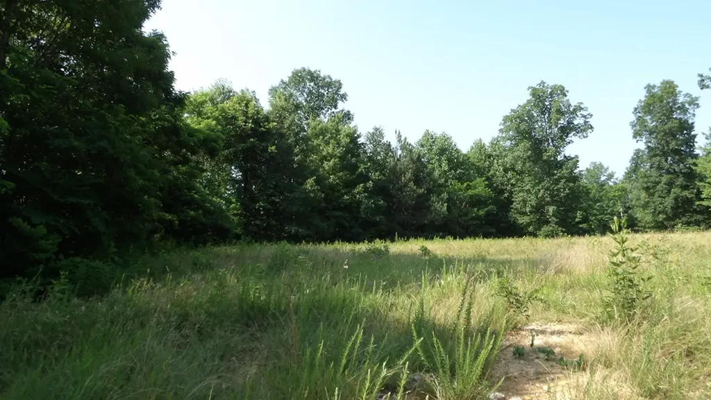 13.87AC Pleasant Cemetery Lane Gainesboro TN 38562