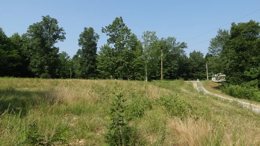 13.87AC Pleasant Cemetery Lane Gainesboro TN 38562