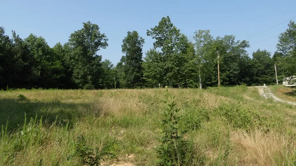 13.87AC Pleasant Cemetery Lane Gainesboro TN 38562