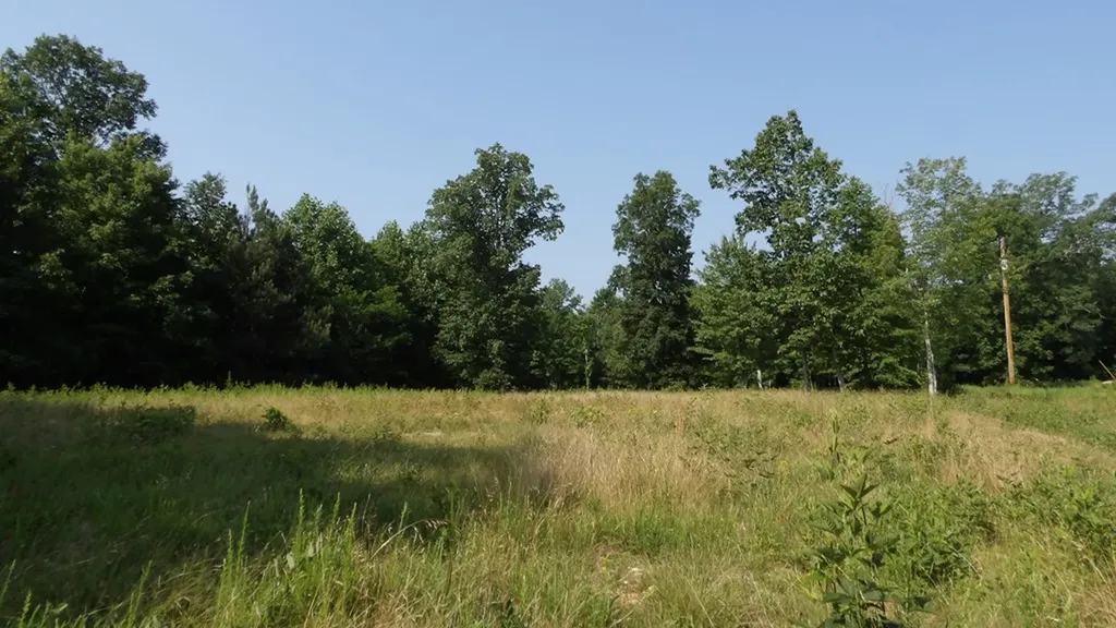 13.87AC Pleasant Cemetery Lane Gainesboro TN 38562