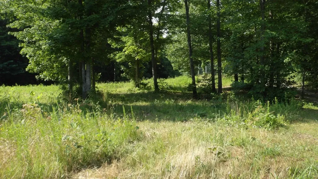 13.87AC Pleasant Cemetery Lane Gainesboro TN 38562