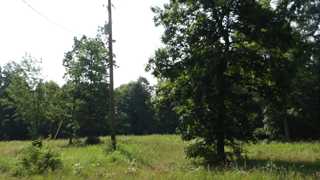 13.87AC Pleasant Cemetery Lane Gainesboro TN 38562