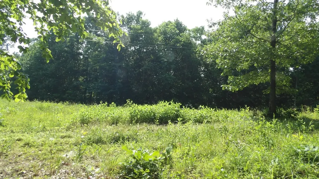 13.87AC Pleasant Cemetery Lane Gainesboro TN 38562