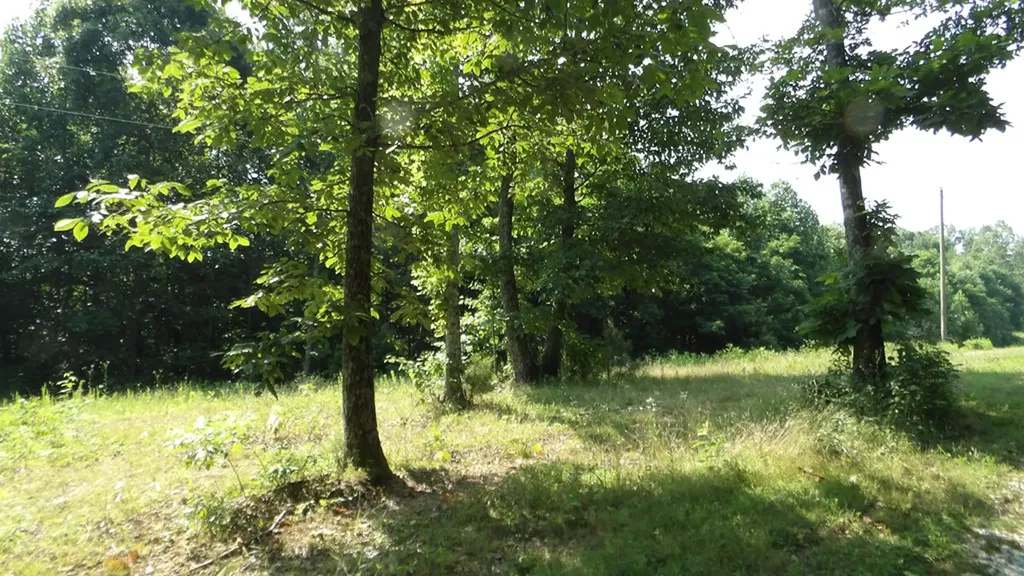 13.87AC Pleasant Cemetery Lane Gainesboro TN 38562