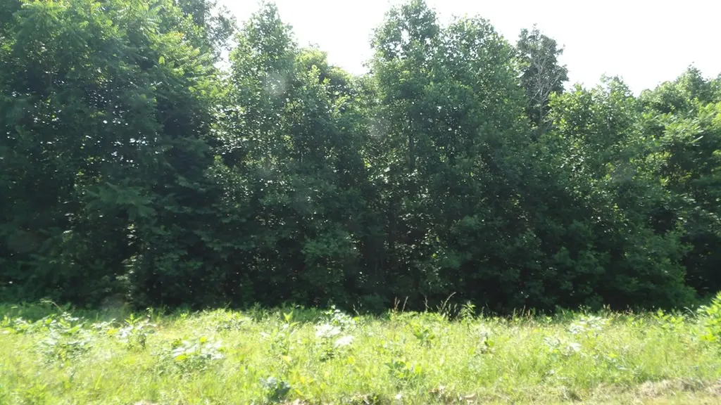 13.87AC Pleasant Cemetery Lane Gainesboro TN 38562