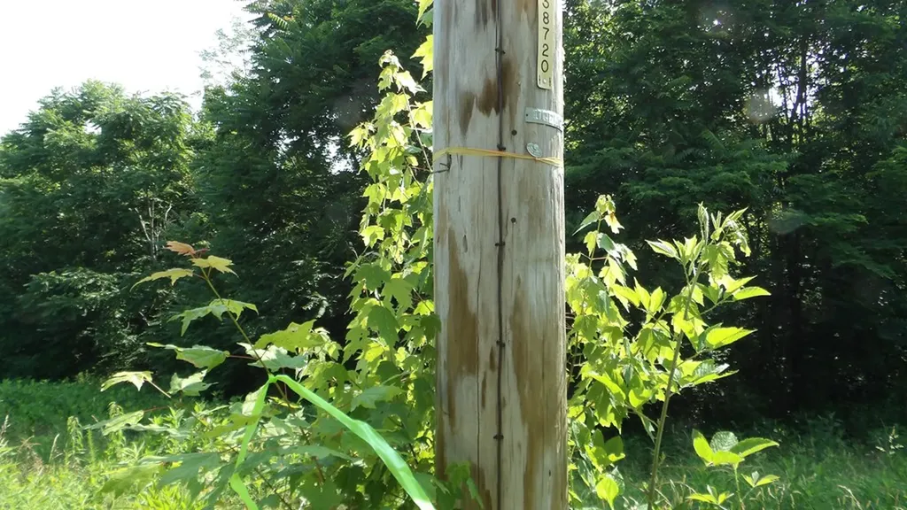 13.87AC Pleasant Cemetery Lane Gainesboro TN 38562