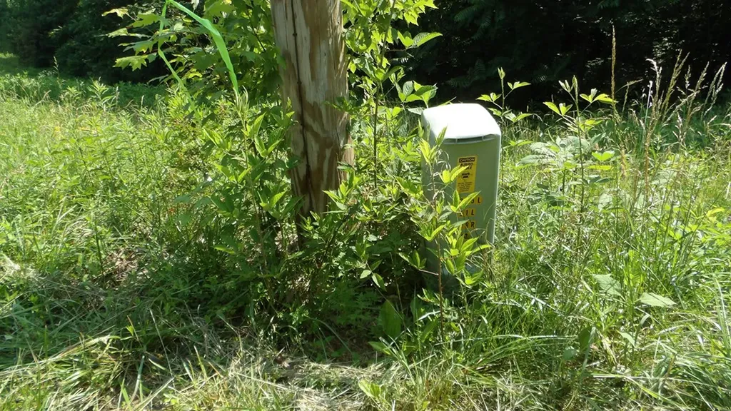 13.87AC Pleasant Cemetery Lane Gainesboro TN 38562
