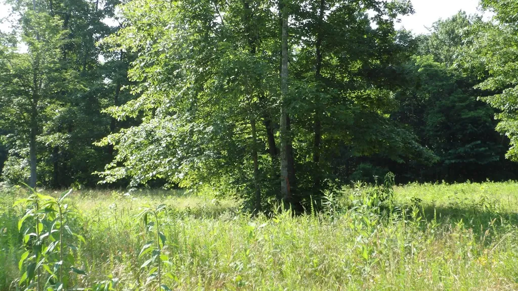 13.87AC Pleasant Cemetery Lane Gainesboro TN 38562