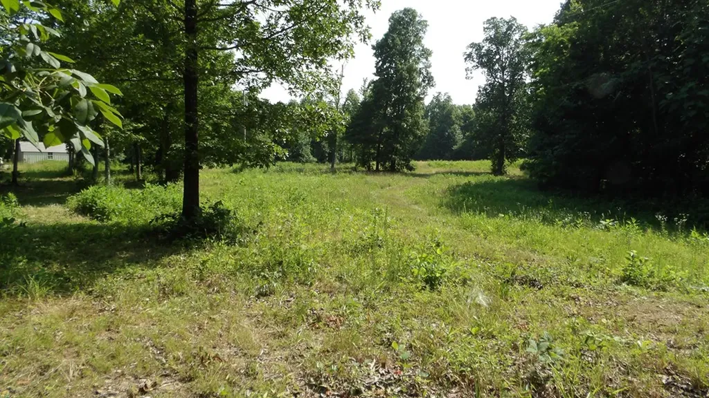 13.87AC Pleasant Cemetery Lane Gainesboro TN 38562