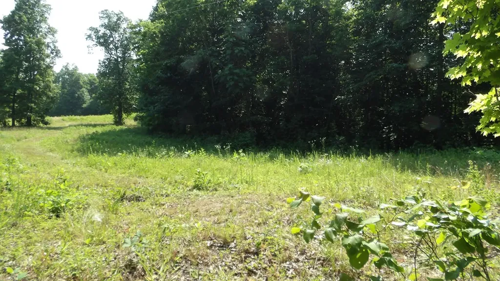 13.87AC Pleasant Cemetery Lane Gainesboro TN 38562